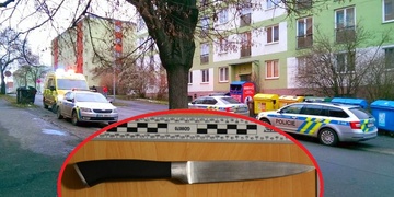 Bodl ho do hrudníku