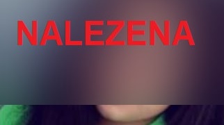 Čtrnáctiletá dívka byla vypátrána