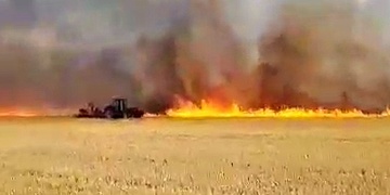 Nedaleko Plzně bojují hasiči s rozsáhlým polním požárem