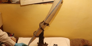 Plzeňský starožitník obchodoval se slonovinou, měl jí za šest milionů