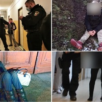 Opilé či zfetované, mrznoucí či řádící