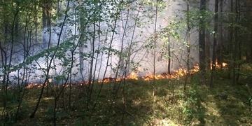 Prodejce klobás zabránil lesnímu požáru – gratulujeme!