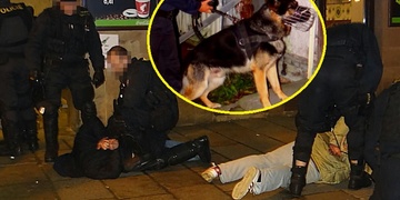 Do velké bitky s cizinci v Plzni byli nasazeni i psovodi