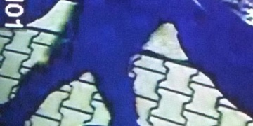 Jen tak pro zábavu ničil auta - pomozte pátrat!