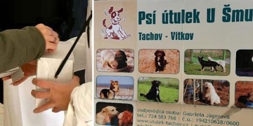 Pozor na podvodnici