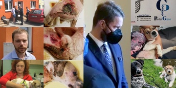 Za týráním Artuše byly zřejmě drogy