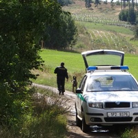 Pokus o znásilnění cyklistky