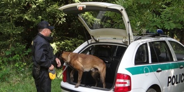 Krátká, ale intenzivní pátrací akce po ženě skončila