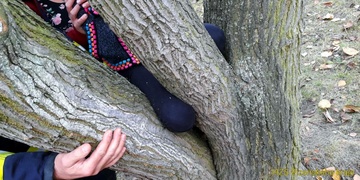 Pětiletá holčička si skřípla nohu do stromu