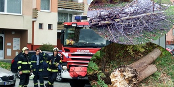 Vichřice řádí po celých západních Čechách