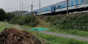 Život dvou koní skončil pod koly vlaku