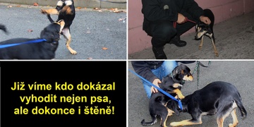 Totožnost muže již víme a vyhodil dokonce i štěně