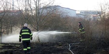 Potřetí za tři dny hořelo na Borských polích