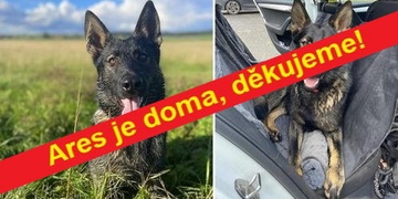 Ares se našel a už je doma! Bylo to díky vaší pomoci.