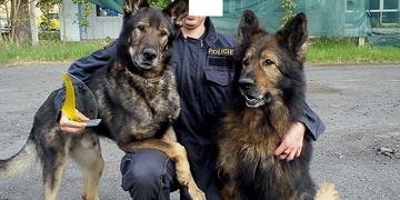 Krajský přebor ve výkonu služebních psů - specialistů "bombařů a drogařů"