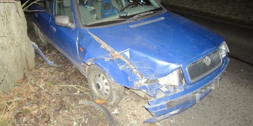 Ve stromě skončil s téměř třemi a půl promile