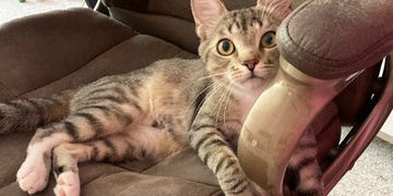 Pomozte prosím, hledá se Edík