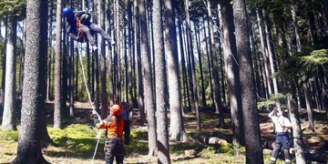 Paraglidista uvízl v koruně stromu