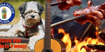 Nemáte v neděli nic v plánu? Tak pojďte do plzeňského útulku na muziku!