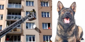 Další dítě zavřelo mamku a hasiče chtěl ochutnat pes