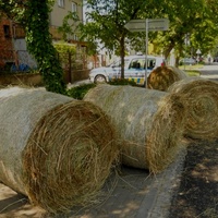 Co si v létě neukradneš, v zimě nemáš