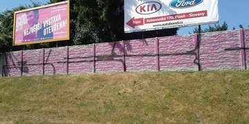 20letý pachatel dopaden, hrozí mu rok vězení