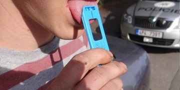 Blbý a blbější na výletě