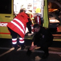 Opilec v sanitce udeřil záchranářku pěstí