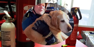 Jak nepřijít o psa, byt ani auto