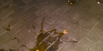 Na Americké bombardovala restauraci vajíčky