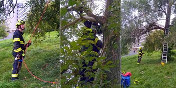 Na stromě uvízl dron i jeho mladý pilot