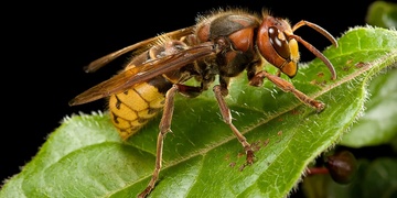Záchranáři náhle bojovali nejen o životy pacientů, ale i své vlastní