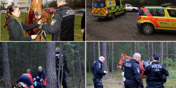 Velká záchranná akce: Kůň shodil ženu a ta zůstala bezvládná ležet neznámo kde v lese