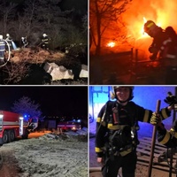 Požár ve firmě na dřevovýrobu se šířil i do lesa