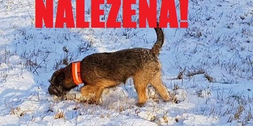 Emi je doma