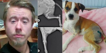Na zmrzačení štěněte odvahu měl, chodit k soudu již ne