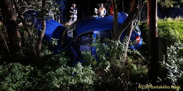 S autem vletěl mezi stromy