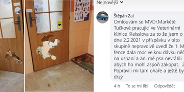 "Poprava psa" aneb vyvrácené lži a pomluvy na internetu