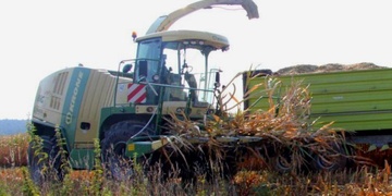 Seniorku v kukuřičném poli přejel kombajn