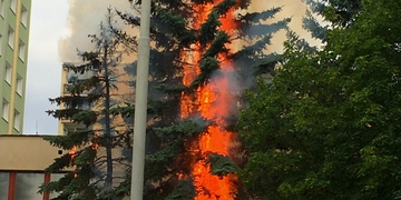 Požár stromu v Bolevci