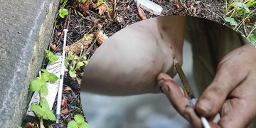 Ve 22. mateřské školce byla nalezena další injekční stříkačka