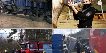 Vážná havárie kamionu na Lochotíně