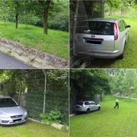 Auto projelo plotem ZOO