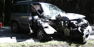 Nevěnoval se řízení a narazil do stromu