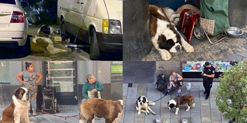 Rumunští podvodníci vydávající se za žebráky a hrubě zneužívající psy dorazili i do Plzně