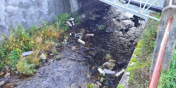 Květináče se 160 kusy květin skončily v řece