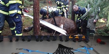 EDUvet pomáhá hasičům zachraňovat koně