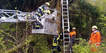 Kácený strom zaklínil muže v koruně