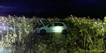 Mladý řidič havaroval do slunečnic