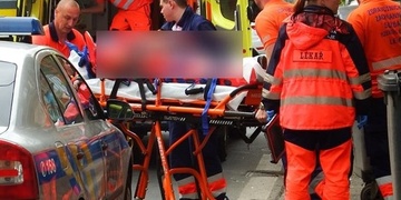 Selfie s krávou či žena, která si chtěla pohladit zmiji